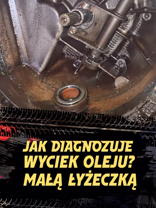 Rolka TikTok 5